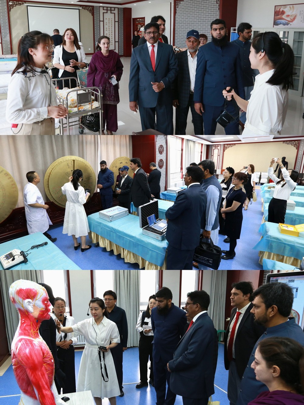 1693902846237042306.jpg IMG_9145_调整大小.jpg